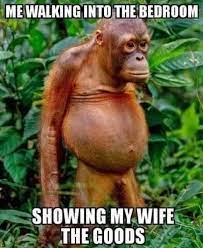 Me Walking Into The Bedroom Showing My Wife The Goods Orangutan Animals Frans Lanting