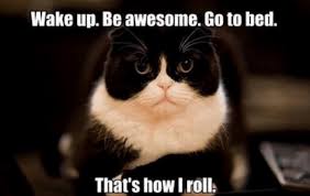 Give in to the humor. 39 You Re Amazing Memes To Motivate Energize You Yourtango