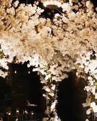 Profile for Shades of Grey Productions