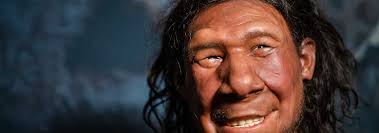 Berühmtestes Fossil der Welt: Entdeckung von Lucy war "wie ein Sechser im  Lotto"