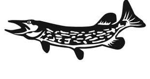 Northern Pike Decal Fish Silhouette Pike Art Fish Drawings