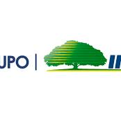 Historia - INS Servicios
