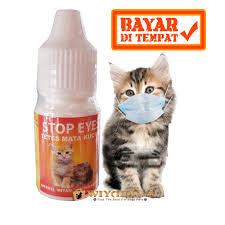 Kucing juga bisa sakit, kalau kucing sedang sakit biasanya kucing tidak mau makan dan muntah atau lemas. Jual Stop Eyes Obat Tetes Sakit Mata Merah Berair Belek Anak Kucing Kitten Jakarta Timur Wiyadi Store Tokopedia