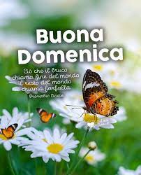 Una selezione speciale con contenuti tutti da scaricare gratis! Immagini Di Buona Domenica Gratis Per Whatsapp E Facebook