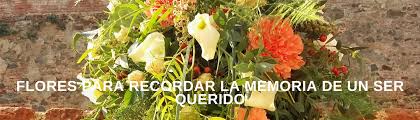 We did not find results for: Flores Para Funerales En Alicante Tienda Online