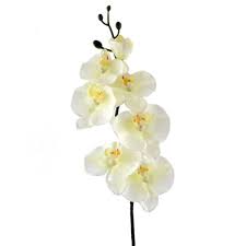 Please shop our widest selection of real touch orchids, silk orchids at wholesale prices. The Seasonal Aisle Artificial Real Touch Orchid Flowers Reviews Wayfair Co Uk