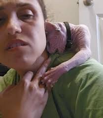 Throwback of when my girl Dutchess had my boy, Ollie shook when she slapped  him 😭😭😓 they were just cuddled up two seconds before lol