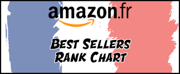 French Bsr Chart Amazon Fr Flipamzn