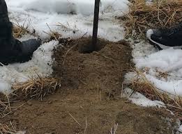 You'll also see your reward for doing so.full. Cat Costa Un Studiu Geotehnic Studii Geotehnice Brasov