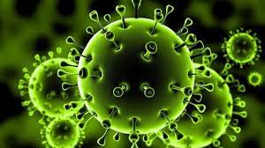 Coronavirus) هو أحد الفيروسات التي تهاجم الجهازَ التنفسيّ، وتم اكتشافُها في وما أسبابه وأصل انتشاره؟ وما علاقته بفيروسات كورونا السابقة؟ Ù…ÙŠØ±ÙƒÙ„ Ù„Ø§ ØªØ³ØªØ¨Ø¹Ø¯ Ø¥ØµØ§Ø¨Ø© Ø«Ù„Ø«ÙŠ Ø³ÙƒØ§Ù† Ø£Ù„Ù…Ø§Ù†ÙŠØ§ Ø¨Ø¹Ø¯ÙˆÙ‰ ÙÙŠØ±ÙˆØ³ ÙƒÙˆØ±ÙˆÙ†Ø§ Ø¬Ø±ÙŠØ¯Ø© Ø§Ù„ÙˆØ­Ø¯Ø©