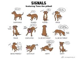 image result for dog body language chart dog body language