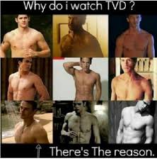 Why Do I Watch Vampire Diaries Well You Know Vampire Diaries Funny Vampire Diaries Vampire Diaries Cast