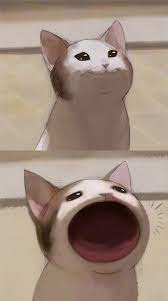 Afterwards, there s no cleanup whatsoever. Plob Pop Cat Know Your Meme