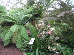 November 2020 seine türen für besucherinnen und besucher. Koeln Magazin Botanischer Garten Koln Informationen Zur Pflanzenwelt Unserer Erde
