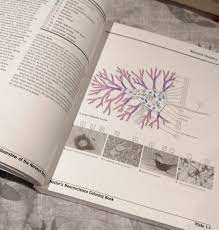 Understand the correlation between structures. Facebook