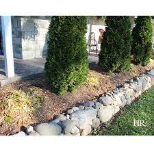 Flowering shade plants shade garden plants hosta plants large indoor plants outdoor plants hosta care fast growing shrubs growing lavender hosta gardens. Gardening How To Prepare Hostas For Winter Hope Reflected
