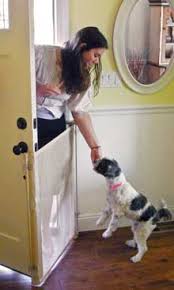 Do this yourself in under an hour, or take the screen door to your local hardware store and have the mesh replaced for a fee. Smart Retract Bow Wow Barrier Exterior Door Barrier Retractable Safety Products For Home Or Business The Bow Wow Barrier Is Great To Use On Your Front Door To Prevent Pets
