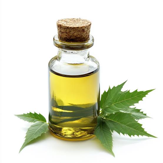 Neem seed oil - POLISH DISTRIBUTOR OF RAW MATERIALS