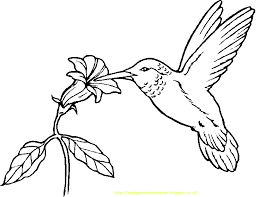 Sketsa ini dapat kita cetak dan menjadi media berlatih untuk melakukannya, mulailah mewarnai gambar dari sisi terluar dengan jenis warna gelap. 15 Gambar Mewarnai Burung Untuk Anak Paud Dan Tk