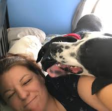 Remembering a beloved pet one year after passing