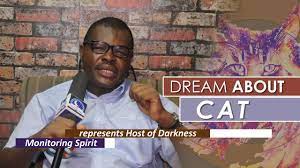 Dream About Cat Find Out The Biblical Dream Meaning Youtube