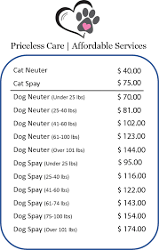 See more ideas about neuter, cat neutering, cats. Veterinarian Las Vegas Spay Neuter Prices