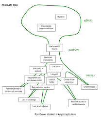 Problem Tree Summarizing Problems Identified By Farmers Download Scientific Diagram