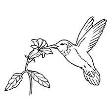 Hummingbirds are so cute and tiny, it's such a joy when they come to visit. Top 10 Hummingbird Coloring Pages For Your Toddler
