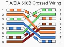 Cat6 b wiring diagram rj45 connector. Overview Of Cat5 Cat5e Cat6 Cat7 Cat8 Rj 45 Network Cable Wiring Type Pinout
