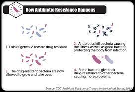 See Pictures Of Bacterial Infections And Diseases Bacterial Infection Antibiotic Infections