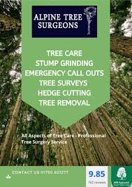 Maybe you would like to learn more about one of these? Alpine Tree Surgeons Alpinetreesurg Twitter