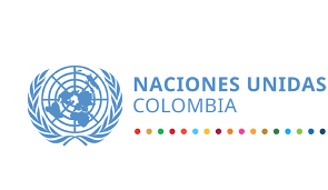 Sistema de Naciones Unidas en Colombia y la Misión de Verificación de Naciones  Unidas con ocasión del Día Internacional para la Eliminación de la  Violencia Contra las Mujeres y Niñas. | Misión
