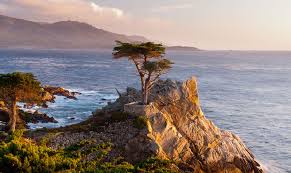 Find monterey hotels, things to do, restaurants, beaches and trip ideas. 10 Things To Do On Your Next Trip To Monterey