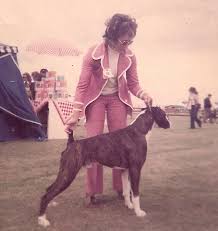 CHAMPION MARBELTON DESPERATE DAN