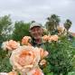 The Origin and History of the Rose, by Ludwig Taschner event image