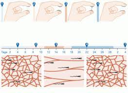 Evaluacion Del Moco Cervical Eyf