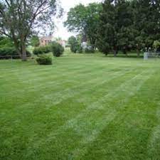 All green lawn care provides professional home and business solutions specializing in fertilizer, pest control, and tree care. Real Green Pest And Lawn 42 Photos 171 Reviews Pest Control 15527 Ranch Rd 620 N Austin Tx Phone Number