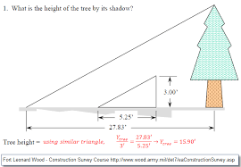 Use Shadow Of A Tree To Calculate Height Shadow Summer Science Land Surveyors