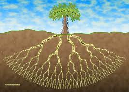 Les Racines Genealogiques Arbre Genealogiques Sur 7 Generations Realise Sur Mesure Avec Les Donnee Arbre Genealogique Arbre Genealogique Vierge Genealogie
