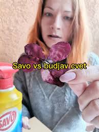 Pisite nam kako vam se dopada? #pressedflowers #savozabudj #savo  #eksperiment #igra #budj #flowers #herb#cveće #biljke #zabava