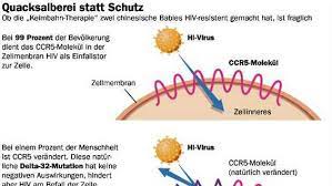 Ccr5 can act as a coreceptor (a second receptor binding site) for hiv when the virus enters a host cell. Mutation Schutzt Und Schadet Zugleich Immun Gegen Hiv Aber Fruher Tot Wissen Tagesspiegel