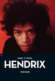 Buy Hendrix: Music Icons Book Online at Low Prices in India