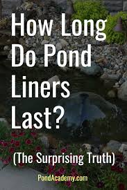 The first thing that has to be done is to clean the pool, to remove as much organic debris as possible. How Long Do Pond Liners Last The Surprising Truth Pond Liner Fish Pond Gardens Pond