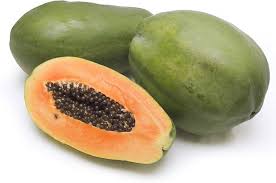 Image result for Carica papaya
