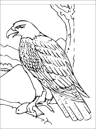 Hawk Coloring And Printable Page Coloring Pages Coloring Pictures Animal Coloring Pages Coloring Pages