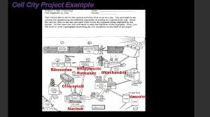 We did not find results for: Cell City Project Assignment Floating Around In The