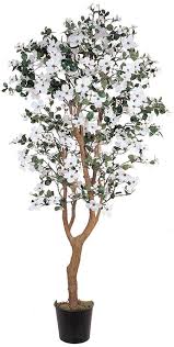 Maybe you would like to learn more about one of these? Best Fake Plants That Look Real Popsugar Home