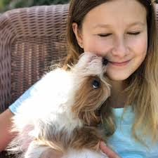 Just a girl and her dog... I ❤️capturing these loving moments between  Stella and our rescue doggy 🐶 Musso. Animals only know how to give  unconditional love. We should all practice our