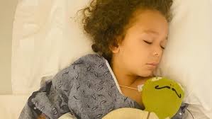 Fundraiser for Lauren Fleming by Blair Stringfield : Otto Morgan's recovery  fund