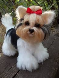 Beaver Yorkshire Terrier Beaver York A Dog Felt Dogs Needle Felted Dog Yorkshire Terrier